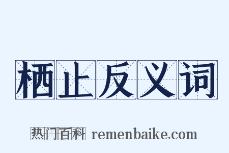 栖止反义词是什么意思的图片